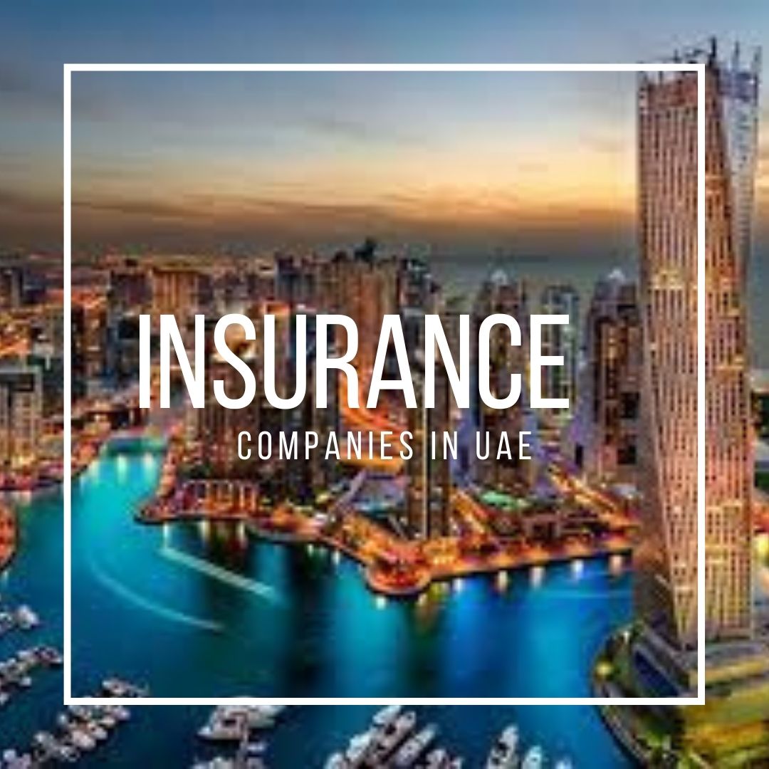 Top 5 Best Insurance Companies in UAE 2022