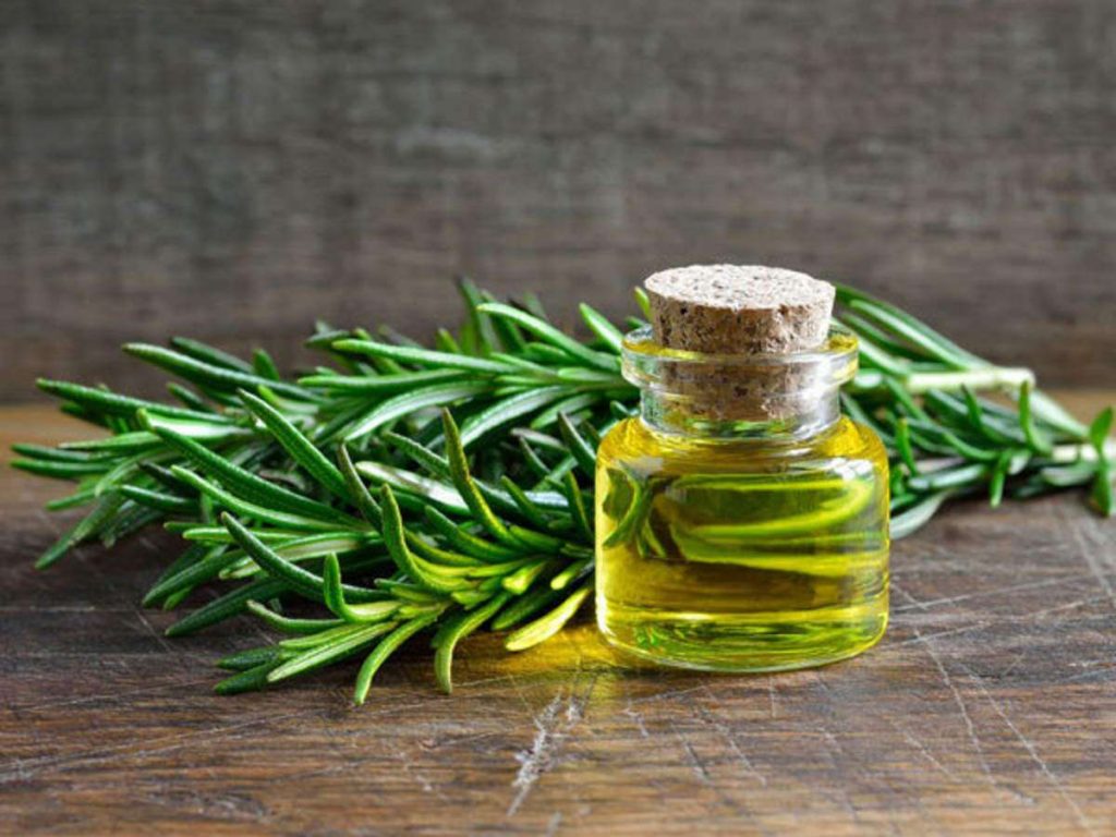 Rosemary-essential-oils-for-skin